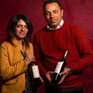 I grandi vini che nascono nella piana calabrese dove combattevano i guerrieri greci