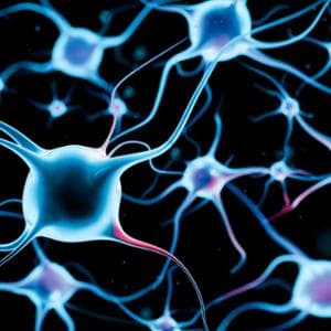 Alzheimer: uno spray nasale che difende neuroni e memoria