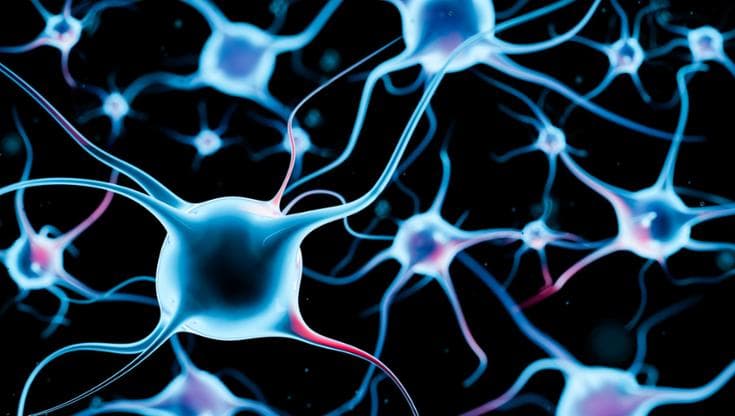 Alzheimer: uno spray nasale che difende neuroni e memoria