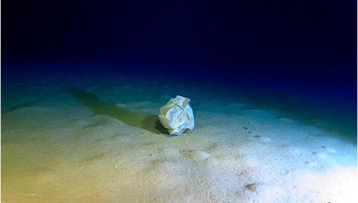 Un sacchetto di plastica sui fondali marini