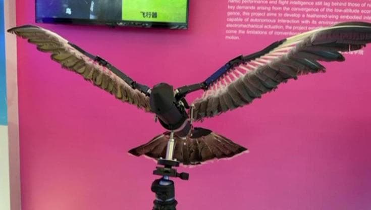 Piume vere e aspetto da aquila: ecco il robot che batte le ali