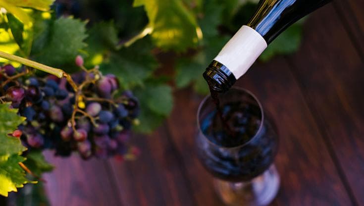 Viaggio nell’Oltrepò Pavese, il regno italiano del Pinot Nero