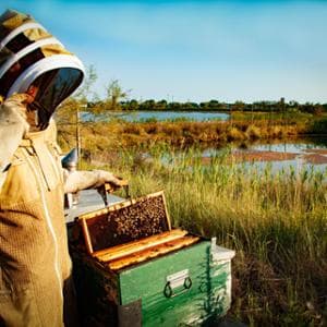 A Torino la carica dei prodotti da salvare secondo Slow Food