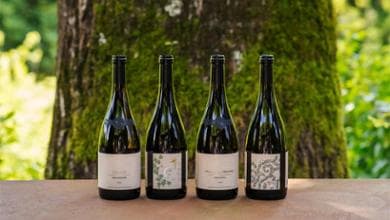 "Oltre il giardino”, un nome da film per i vini che raccontano la storia del Collio