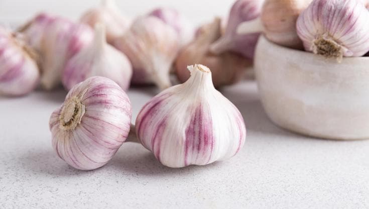 Si chiamano “Vampiri d’Italia”. La loro passione? Degustare l’aglio