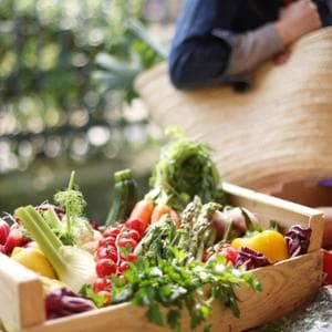 La libertà nel carrello: il nuovo numero dei Piaceri del Gusto