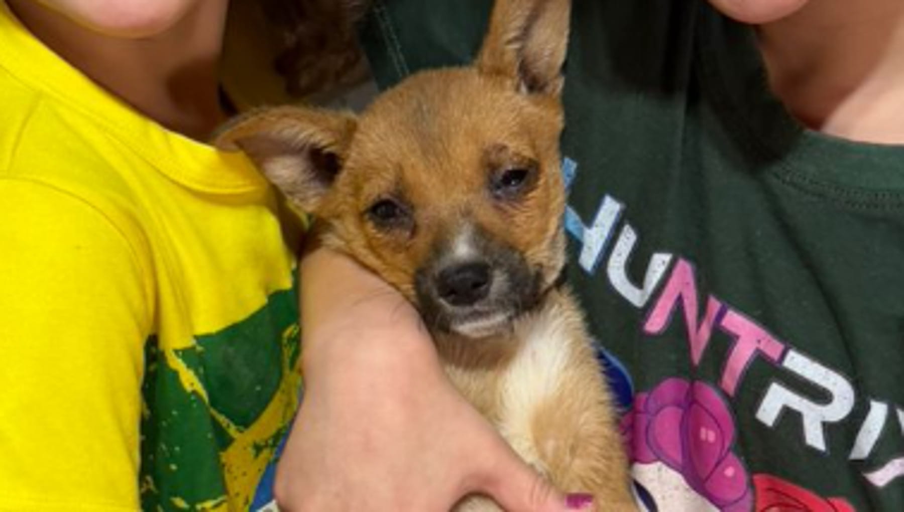 Ecco come il cane Peteca ha trovato due piccole “dottoresse” pronte a prendersi cura di lei