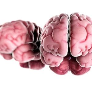 Non abbiamo un solo cervello, ma due: verso una svolta per la cura delle malattie neurologiche