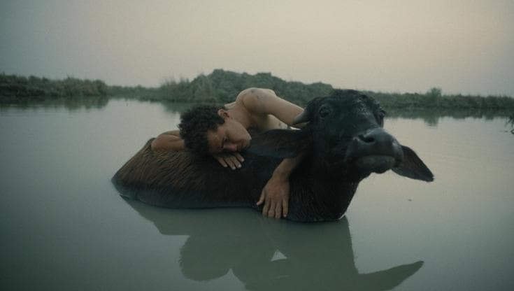 Ghiacciai, siccità e specie in fuga: a Napoli il cinema guarda al futuro del pianeta