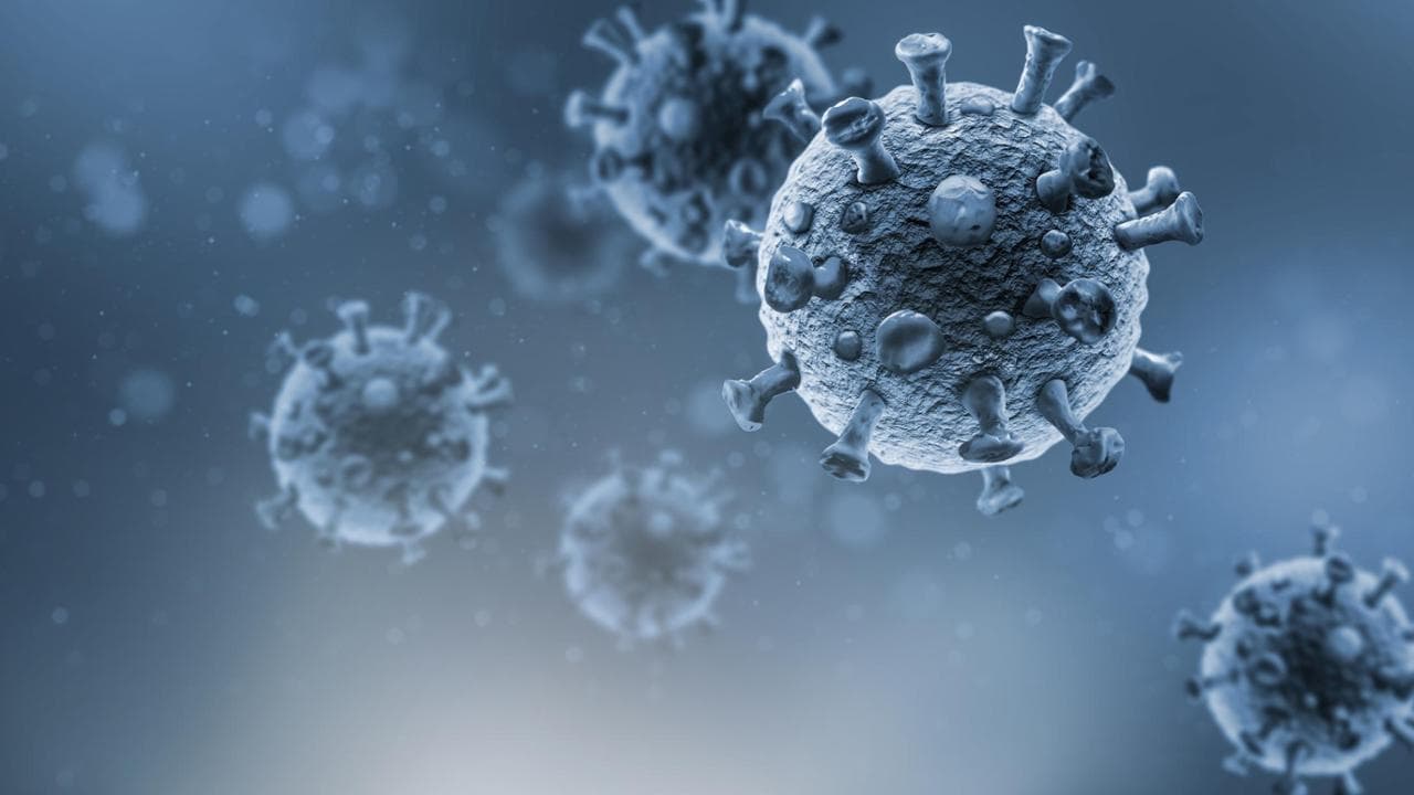 In arrivo 262 virus autunnali, come difendere il sistema immunitario