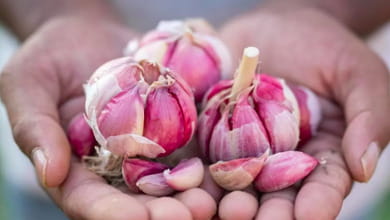Dall’aglio rosa di Nicastro alla Pruna dei frati ecco i prodotti calabresi più sconosciuti