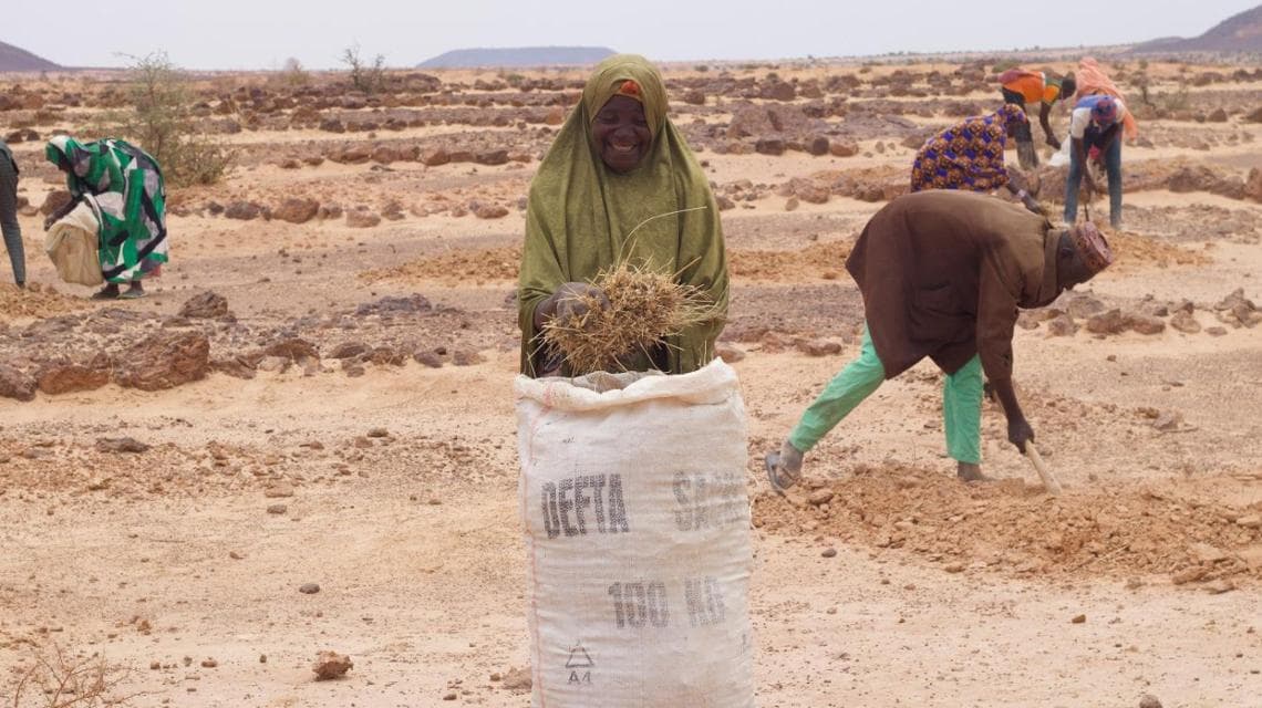 Niger (© FAO​)