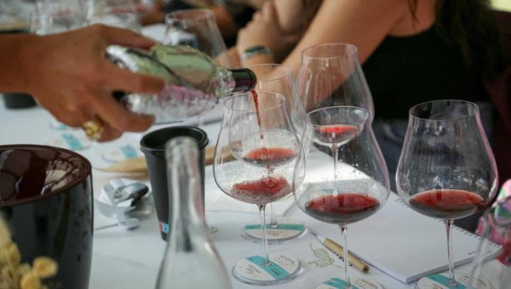 Il Barolo a Serralunga cambia ritmo: il 2023 si beve già, ma non rinuncia al tempo
