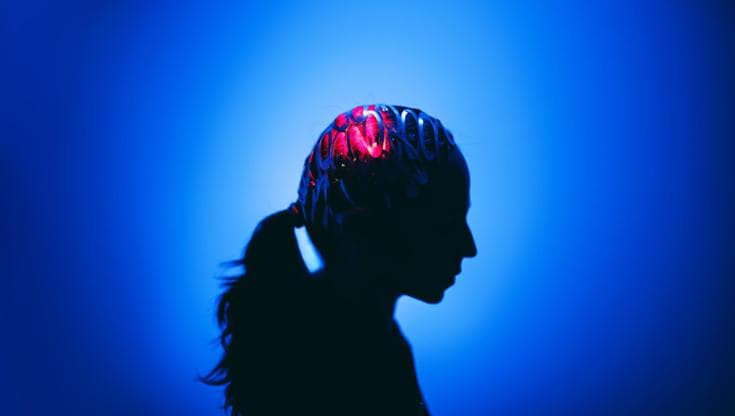 Nobel 2026: “Grande scoperta, in futuro potremo bilanciare i circuiti cerebrali che non funzionano”