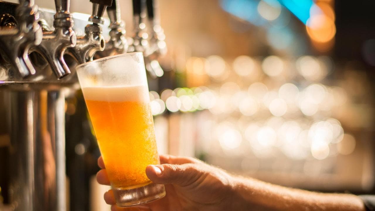 Altro che la solita bionda: tutta la biodiversità che si nasconde in un bicchiere di birra