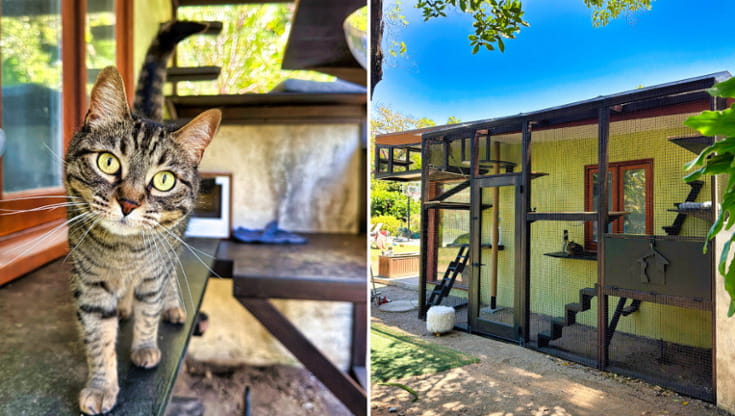 (foto: Catio Guy)