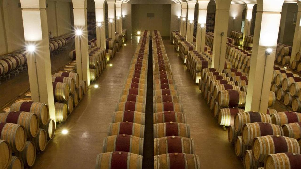 Il grande colpo della banda del vino: rubate ad Antinori 30mila bottiglie di pregio per 5 milioni di euro