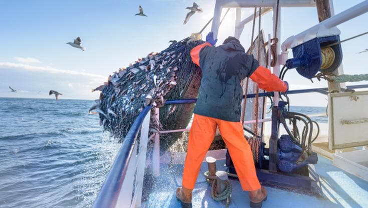 Cedroni e Pascucci: chi rispetta il mare non può mangiare solo i filetti e buttare via il resto
