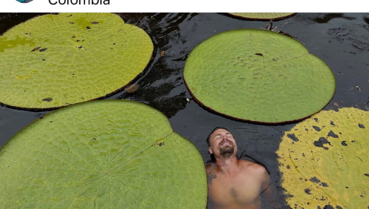 La foto della ninfea gigante Victoria colombiana postata da Jeremiah Harris e individuata dal botanico Carlos Magdalena