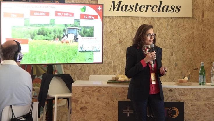 Formaggi Svizzeri: un viaggio tra territori, tradizioni e sapori