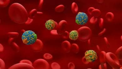 Colesterolo, 10 cose da sapere per prevenire le malattie cardiovascolari