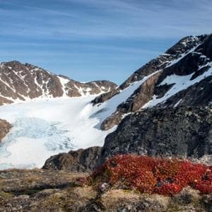 La Terra sotto pressione: sette dei sedici parametri vitali hanno raggiunto il limite