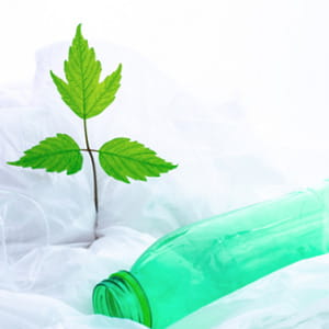 Bioplastiche, sono serbatoi e sorgenti secondarie di inquinanti eterni nell'ambiente