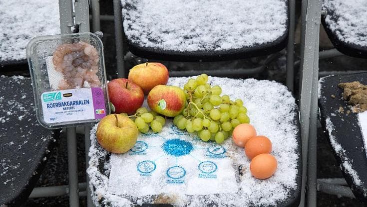 Una protesta degli ambientalisti in Olanda contro la diffusione dei PFAS (Getty Images)
