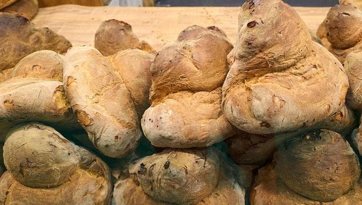 Non solo i raccolti: così i cambiamenti climatici possono alterare la qualità del grano