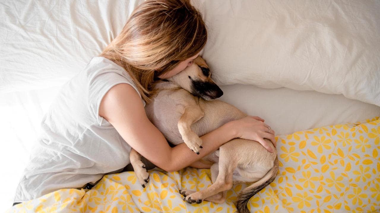 Sonno, come cambia se portiamo il cane nel letto