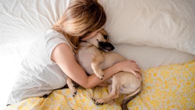 Come cambia il sonno se portiamo il cane nel letto