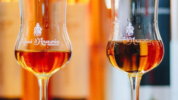 Viaggio tra i profumi della grappa: ecco le migliori distillerie d’Italia pronte ad accogliervi