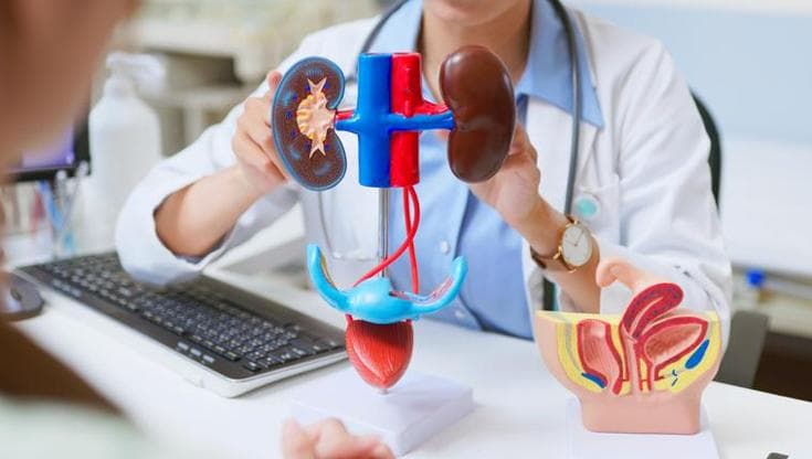 Tumore alla vescica, immunoterapia e farmaco mirato riducono del 42% il rischio di morte