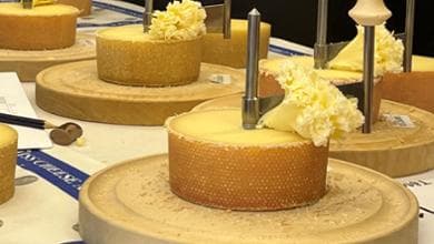 Ecco i migliori formaggi svizzeri: cosa c’è dietro Emmentaler, Gruyère e Tête de Moine