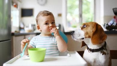 Il bebè è in arrivo e col cane come si fa?