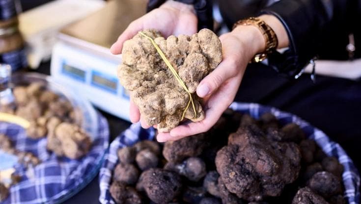 I sapori dell’autunno, dal tartufo del Pollino a quello delle Marche