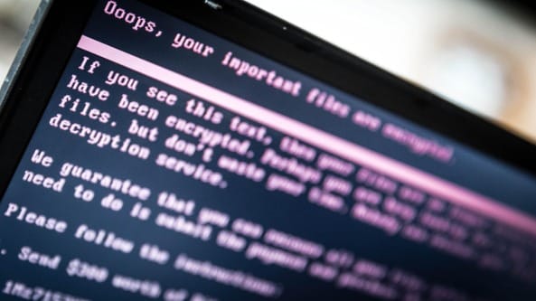 Come funziona il business del ransomware | il ricatto digitale che spaventa i governi - Vimarsana News