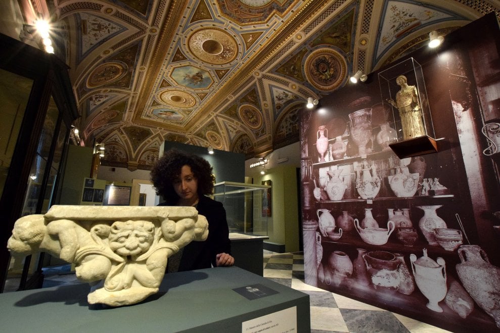 Il museo che non c'è: i tesori della storia in mostra all'Ateneo di ...