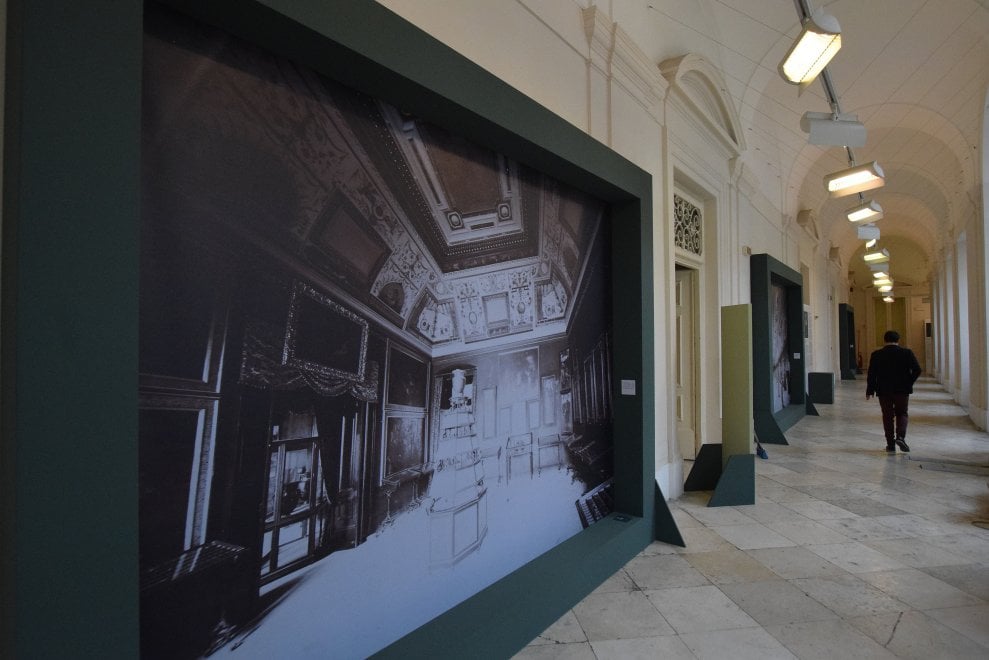 Il museo che non c'è: i tesori della storia in mostra all'Ateneo di ...