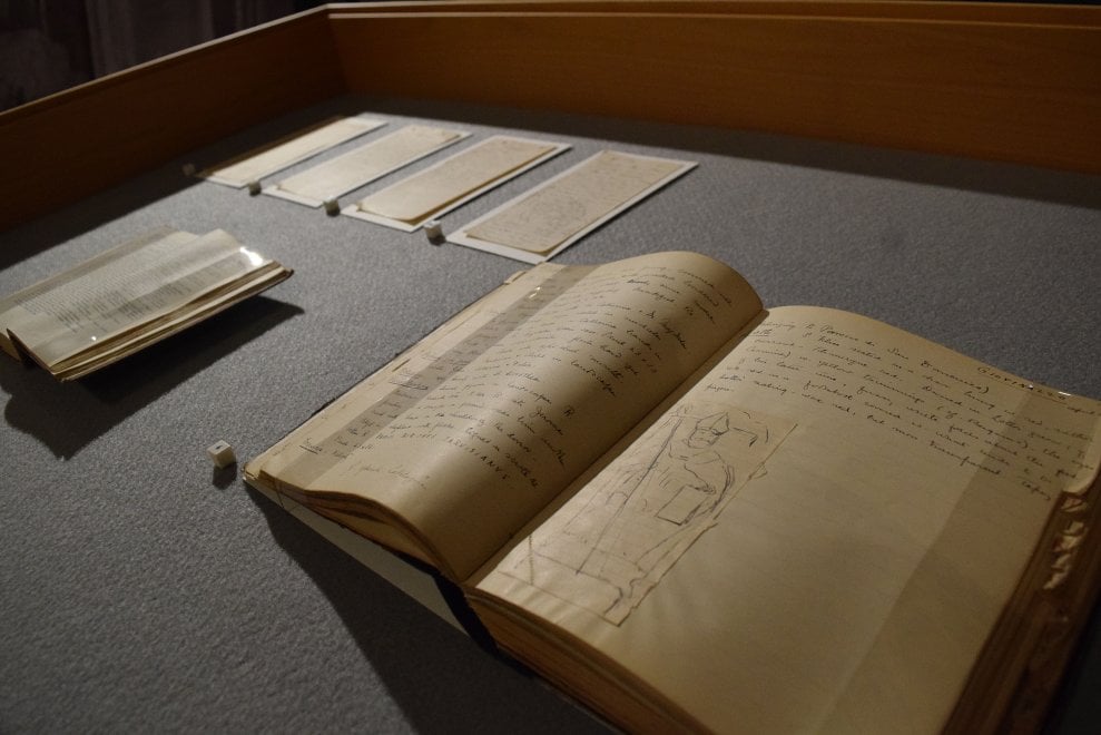 Il museo che non c'è: i tesori della storia in mostra all'Ateneo di ...