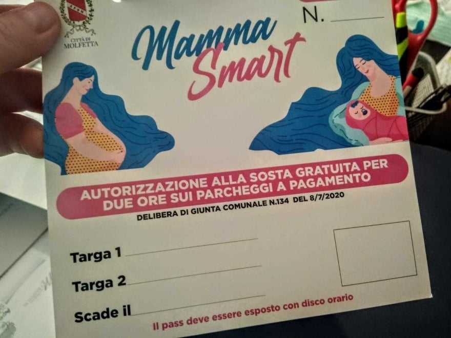 Laymoon Organizer Per Mamme - Porta Documenti Gravidanza Con Tasche Per Ecografie E Vaccini, In Feltro