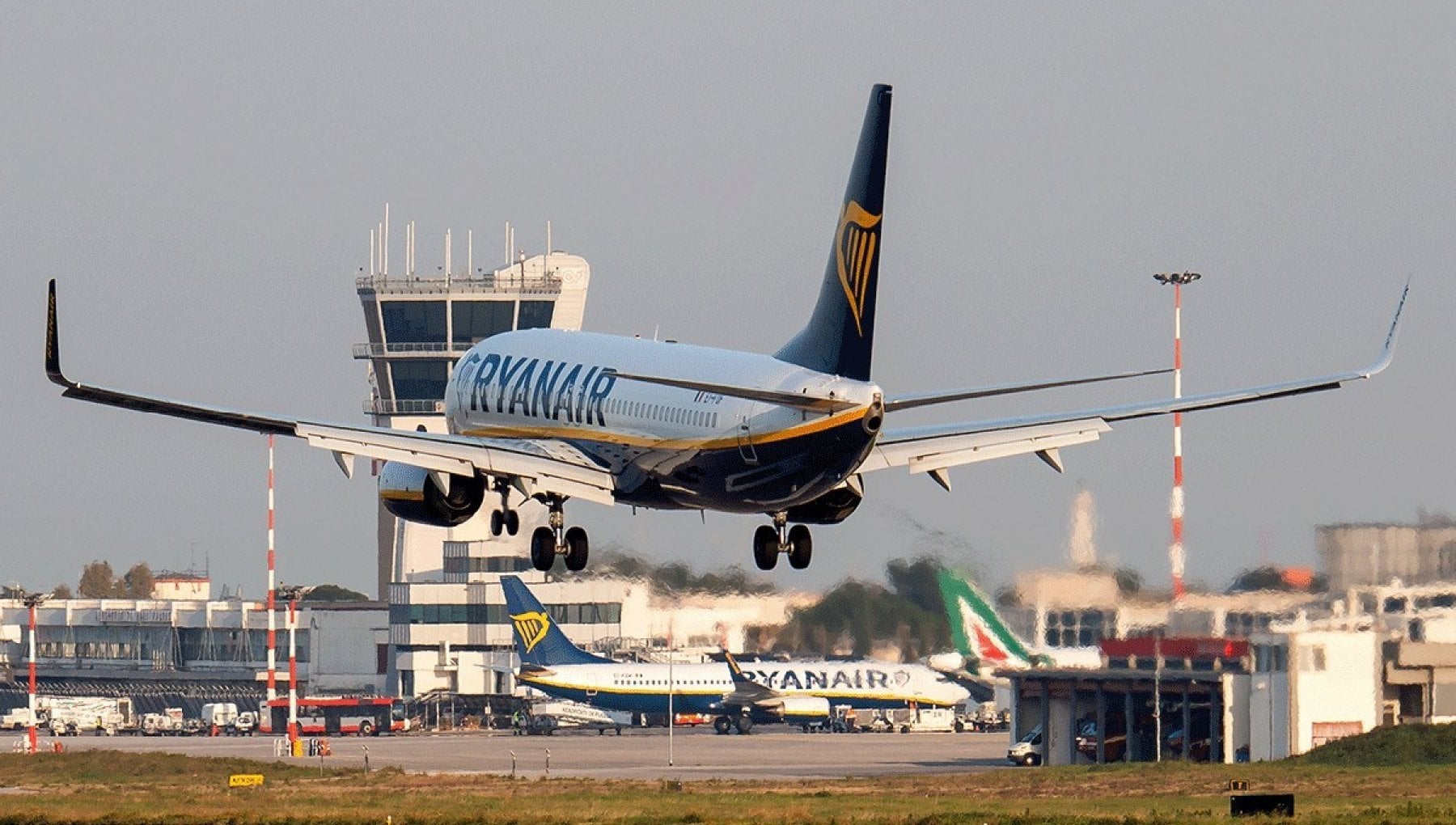 volo milano - bari ryanair