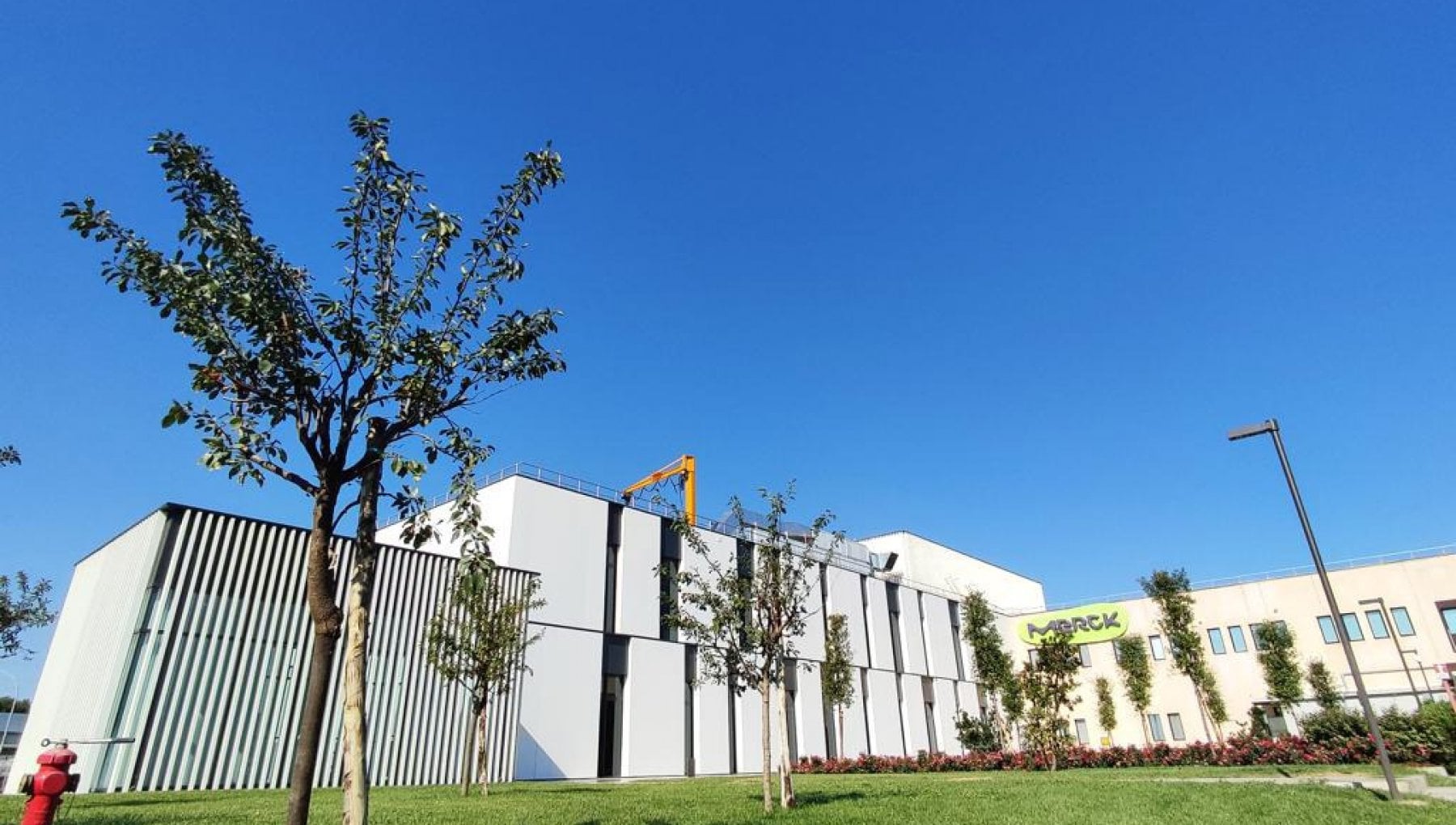 Merck Punta Su Bari Il 60 Della Nostra Produzione Mondiale Sar 