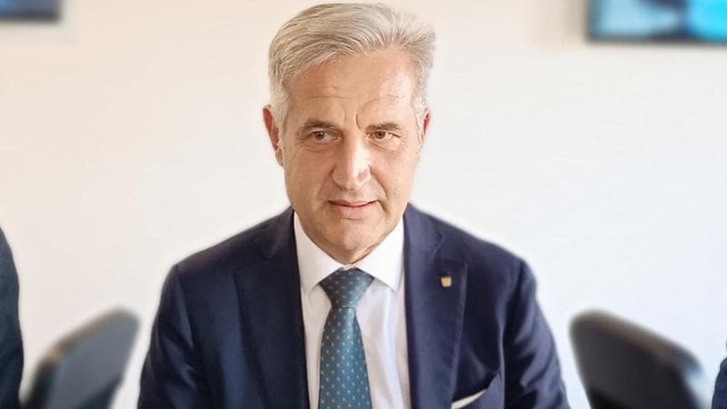 Coltello da Taglio per Pelle Professionale, Lama in Acciaio Inossidabile con Manico in Legno, Utensile da Taglio per Artigianato in Pelle Fai da Te, Skiver e Beveler per Cuoio