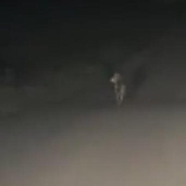 Salento'daki duruşmada bir kurdu “zulümle” öldürdü: Bir tanığın çektiği fotoğraf çerçevelendi