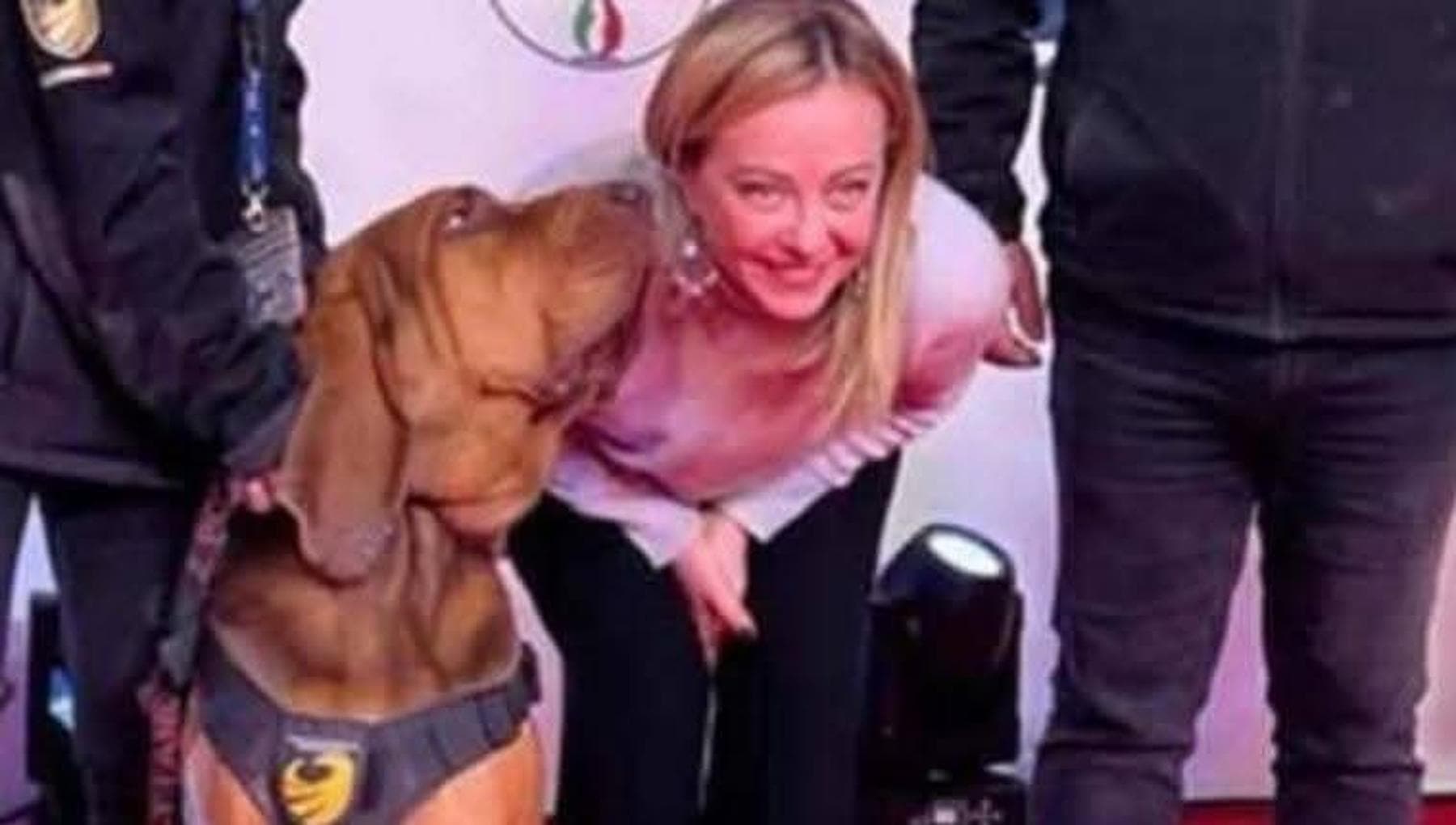 Il pm: "Bruno non fu ucciso”. L’istruttore del cane da salvataggio indagato per simulazione di reato