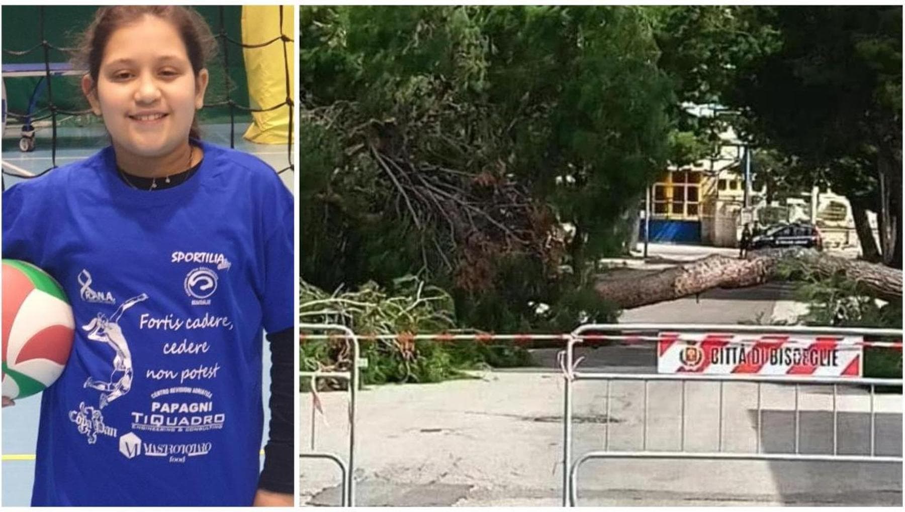 Alicia morta a 12 anni schiacciata da un albero, cinque indagati a Bisceglie