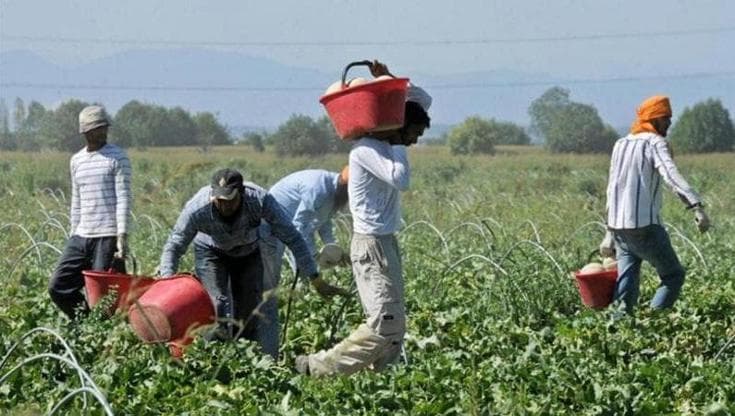 Bracciante indiano morì a Laterza: due arresti. “Sfruttati nei campi per meno di tre euro l’ora”