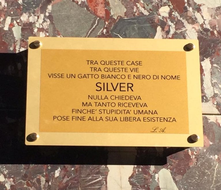 Decorazione da parete in metallo con gatto su sedia con gatto e scritta in lingua inglese This What I Do I Read Books I Drink Tea And I Know Things Cat Metal