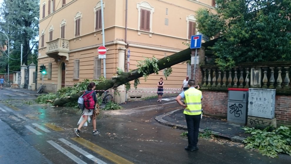 Via Caduti Della Via Fani 5 Bologna